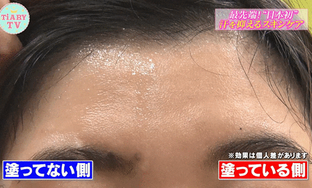 テレビ紹介