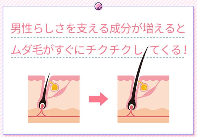 男性ホルモンが増えるとムダ毛がすぐに伸びてくる!